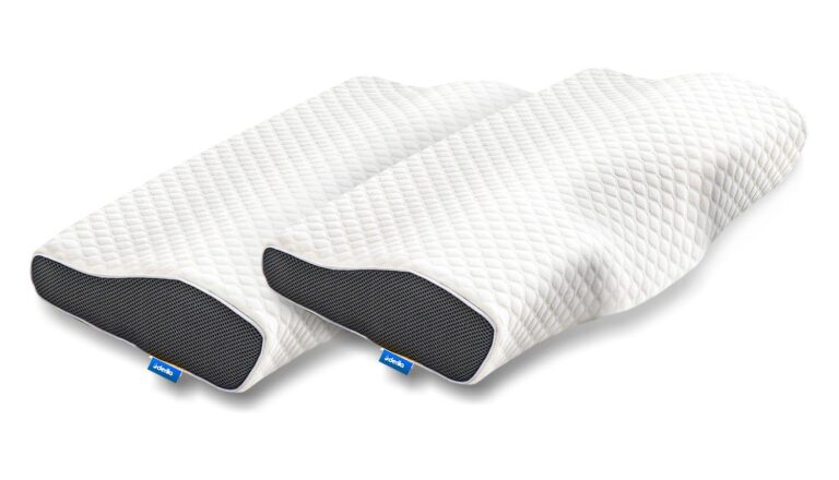 Derila Ergo Pillow Reviews  – Is It Worth Buying? Expert Advice!